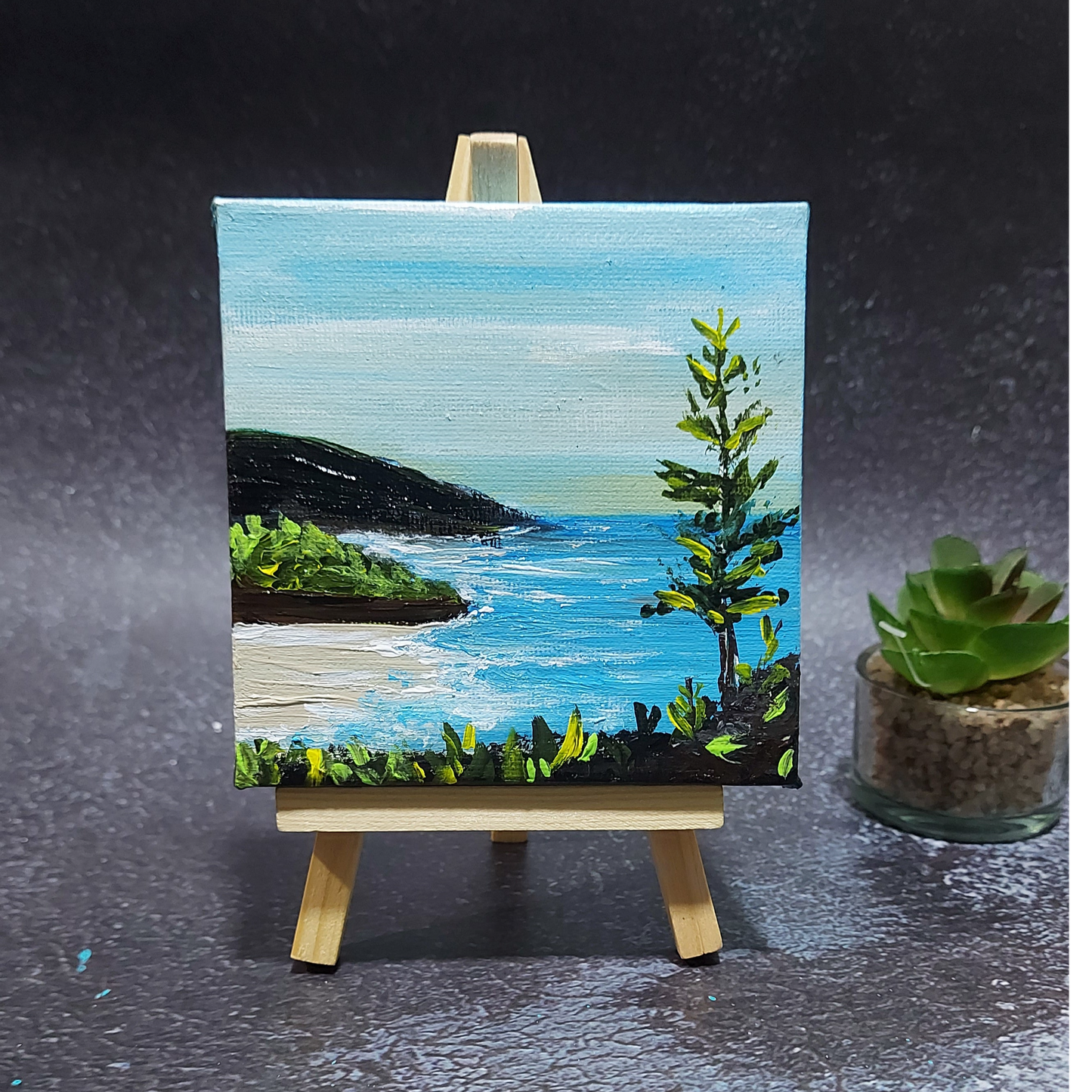 Scenic beautiful mini Canvas to Gift.