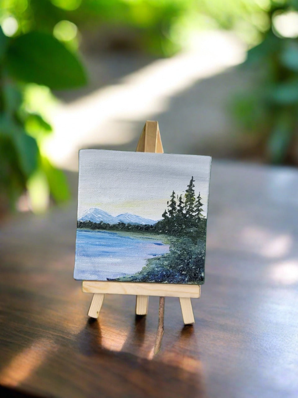 Scenic Mini Canvas